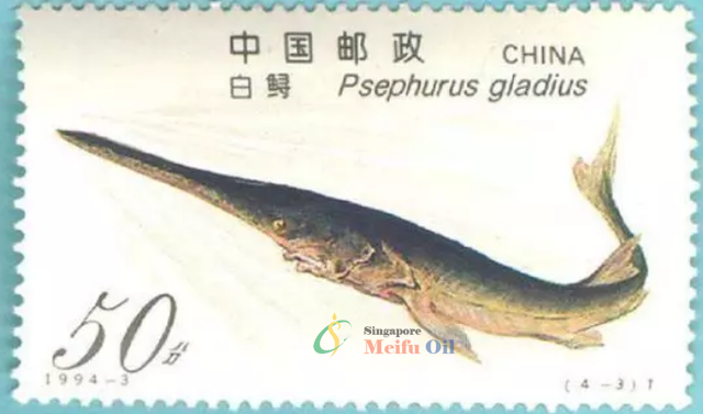 长江白鲟给人类的一封告别信